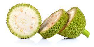 Artocarpus Breadfruit altilis Seeds for Planting – Heirloom, Non-GMO, High Germination Organic Tropical Fruit Tree Seeds