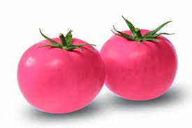 Light Pink Tomato Seeds for Planting - 100 pcs