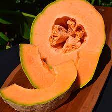 Ambrosia Cantaloupe  Cucumis melo var. reticulatus 'Ambrosia' Fruit Seeds for Planting