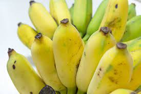 Pisang Awak (Dwarf Banana with Large Fruits) Fruit Seeds for Planting Tall and Fruitful Banana Trees