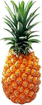 Ananas orange frugtfrø til plantning - 100 frø