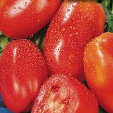 San Marzano Italian Plum Tomato Seeds for Planting – Heirloom Non-GMO Organic Garden Seeds