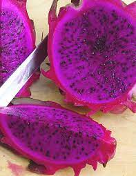 Pitaya Fruit Seeds for Planting - Purple Variety for Vibrant Gardens