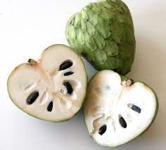 Cherimoya (Annona cherimola) or Ice Cream Fruit Seeds for Planting - Variety of Apple Trees for Homegrown Apples