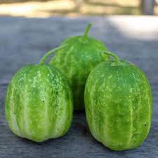 Richmond Green Cucumber Seeds for Planting – Heirloom, Non-GMO, Crisp &amp; Productive Variety