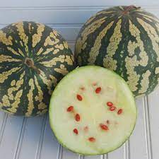 Citron Red Watermelon Fruit Seeds for Planting - Unique Shaped Melons, Heilroom Seeds