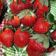 Eversweet Everbearing Strawberry Seeds for Planting - Organic, Heirloom, Non-GMO  seeds for Home Garden