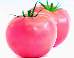 Light Pink Tomato Seeds for Planting - 100 pcs