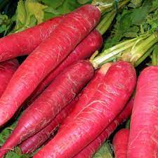 Indian Red Globe Radish Seeds – Heirloom, Non-GMO Vegetable Seeds for Planting Crisp, Round Red Radishes