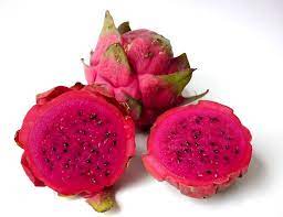 Pitaya Fruit Seeds for Planting - Purple Variety for Vibrant Gardens