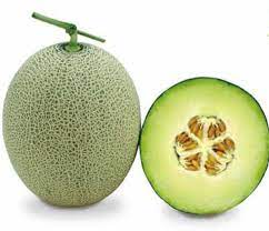 Fresh Green Cantaloupe Fruit Seeds for Planting - Heirloom & Non-GMO Seeds