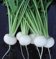 Tokyo Cross Turnip Vegetable Seeds for Planting – Heirloom, Non-GMO Organic Garden Seeds