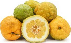 Giant Rough Lemon Fruit Seeds for Planting - Hardy, Drought-Tolerant Citrus Variety