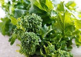 Broccoli Raab Seeds for Planting – Heirloom, Non-GMO, Fast-Growing Italian Sprouting Greens