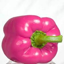 Pink Pepper Vegetable Seeds for Planting heirloom & Non-GMO Seeds