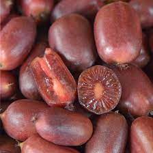 Scarlet Kiwi Fruit Seeds for Planting – Exotic Red-Fleshed Kiwi, Berry-Like Taste, Heirloom Seeds