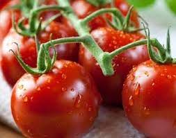 Heirloom Square Round Tomato (Summer Variety) Seeds for Planting – High-Yield Vegetable Seeds, Heirloom & Non-GMO Variety