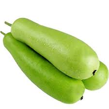 Cylindrical Bottle Gourd Seeds for Planting – Heirloom, Non-GMO Vegetable Seeds for Home Garden & Organic Farming