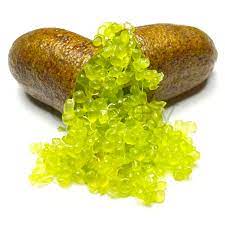 Finger Lime Frø til Zesty, Unikke Citrus Gems 100 stk