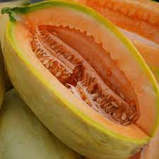 Gold Banana Melon Fruit Seeds for Planting - Unique Melon Variety for Your Garden