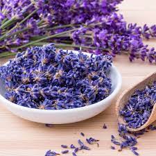 Lavender Mini Violet Flower Seeds for Planting - 100 pcs