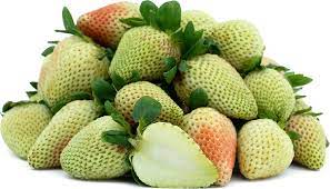 Light Green Strawberry Fruit Seeds for Growing Sweet and Nutritious Strawberries