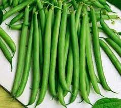 Green French Bean Slenderette Seeds for Planting heirloom & Non-GMO Seeds