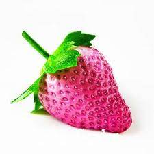 Pink Strawberry Fruit Seeds for Planting - Ideal for Home garden, Heirloom Seeds, GMO free