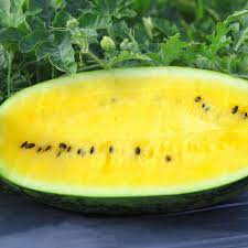 Yellow Crimson Watermelon Fruit Seeds for Planting - Grow Unique and Refreshing Watermelons