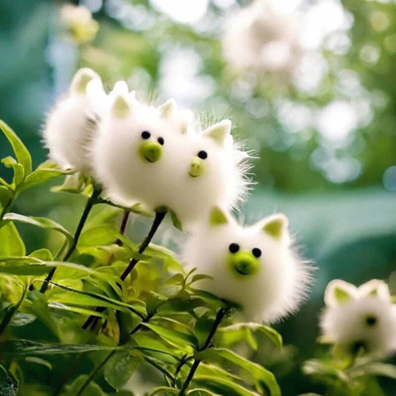 New Cat Face Flower Seeds – Heirloom, Non-GMO, High Germination, Organic Garden Seeds