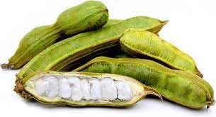 Inga Edulis Plant Seeds