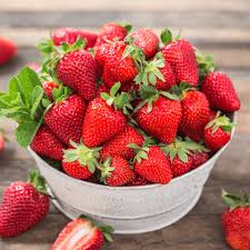 Japanese Hokowase Strawberry Fruit Seeds for Planting