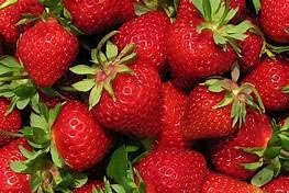 Japanese Hokowase Strawberry Fruit Seeds for Planting