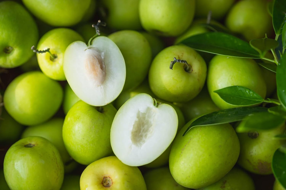Jujube Apple Grafted Fruit Seeds for Planting