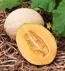 Jumbo Cantaloupe Fruit Seeds for Planting | Heirloom Non-GMO Organic Seeds for Giant, Juicy Melons