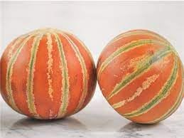 Kajari Melon Fruit Seeds for Planting | Heirloom Non-GMO Organic Seeds for Sweet Indian Melons