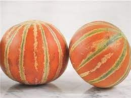 Kajari Melon Seeds