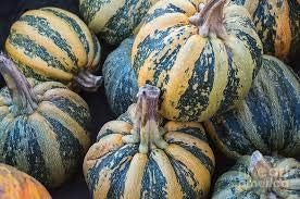Kakai Hull-Less Pumpkin Fruit Seeds for Planting