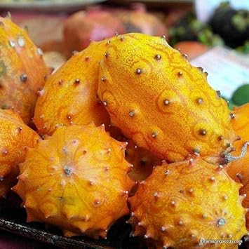 Kiwano Fruit Seeds