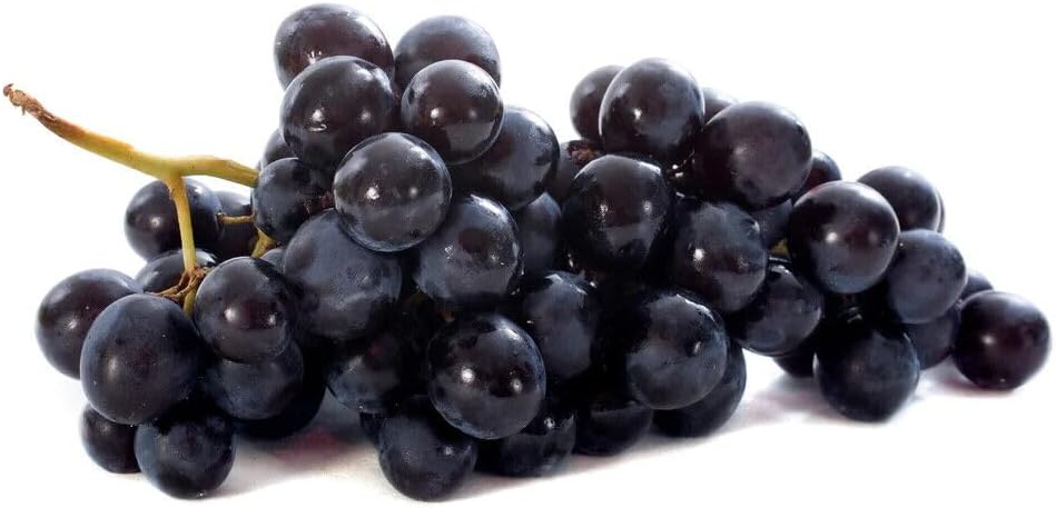 Lampone Rubus Idaeus Berry Seeds for Planting