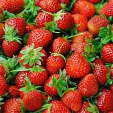 Large Strawberry Fruit Seeds for Planting