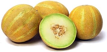 Lemon Drop Melon Fruit Seeds for Planting