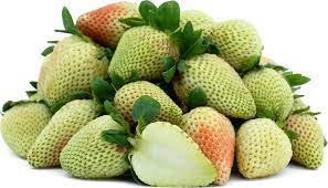 Light Green Strawberry Fruit Seeds for Planting