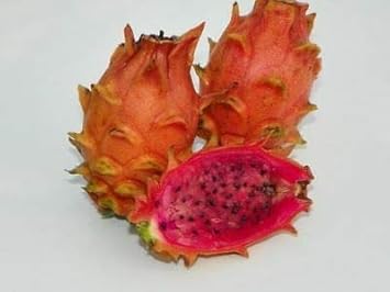 Light Orange Pitaya Fruit Seeds for Planting