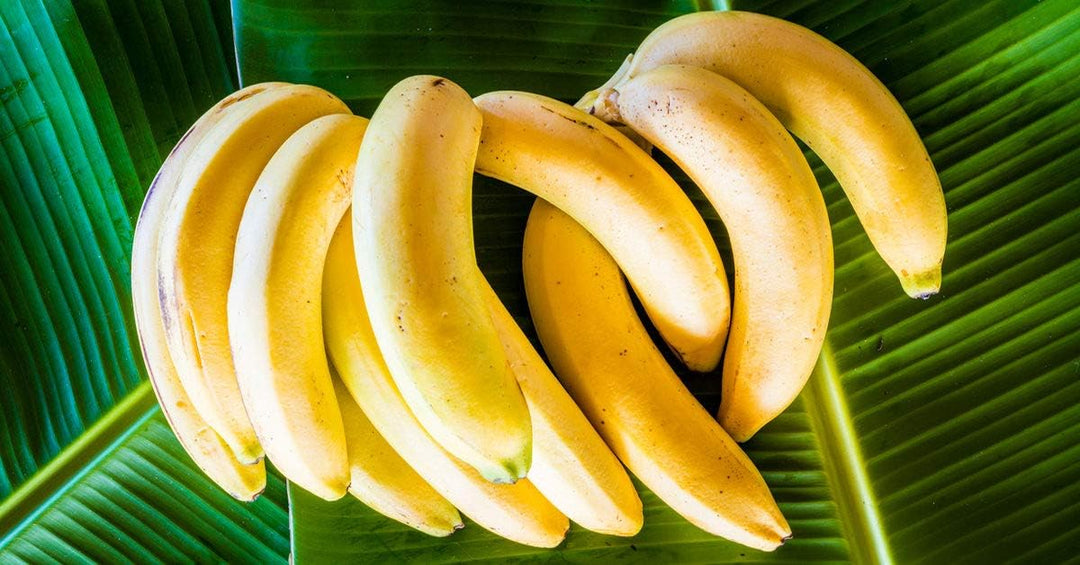 Light Yellow Banana Fruit Seeds for Planting