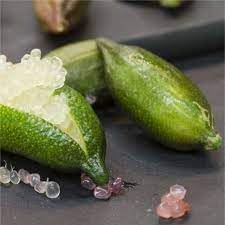 Lime Fruit Seeds for Planting
