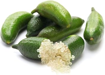 Lime Fruit Seeds for Planting