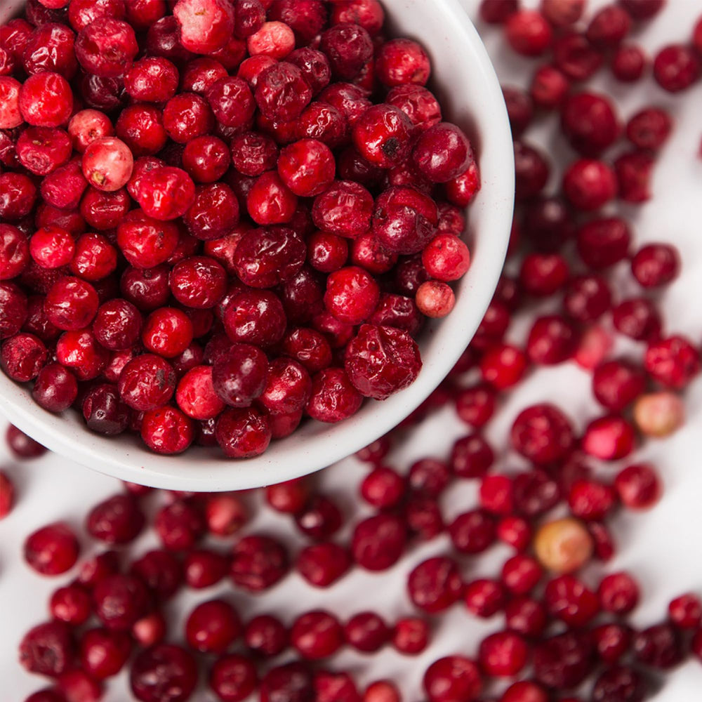 Lingonberry Fruit Seeds for Planting