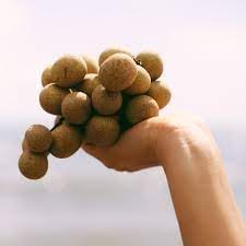 Longan Seeds