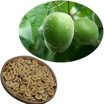 LuoHan Guo Fruit Seeds